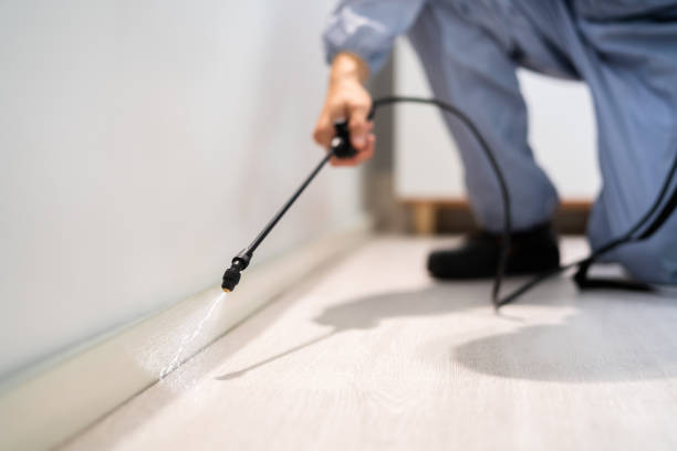 Licensed Rodent Control service in East Tawas, MI - Nex Pest Control