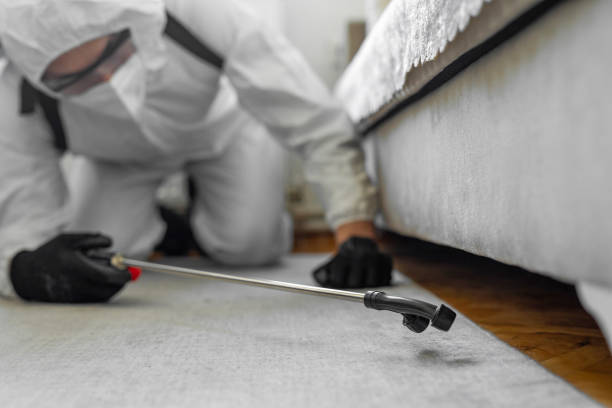 Professional Rodent Control technician working in East Tawas, MI