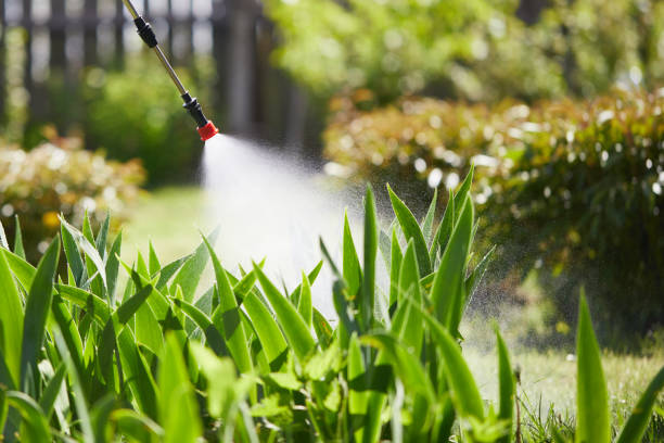 24/7 Emergency Rodent Control experts in East Tawas, MI