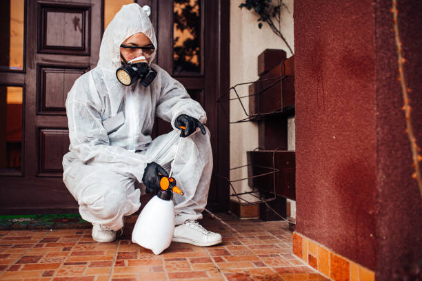 Reliable Rodent Control contractor in East Tawas, MI by Nex Pest Control