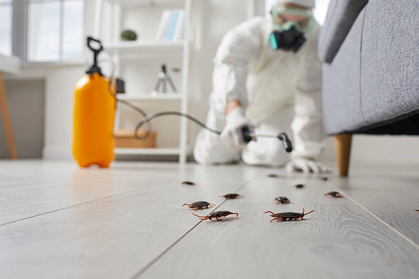 Trusted Emergency Pest Control service in East Tawas, MI - Nex Pest Control